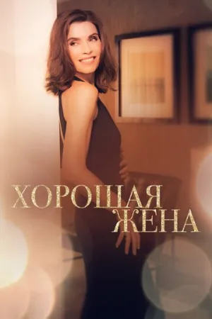 Хорошая жена (сериал 2009)