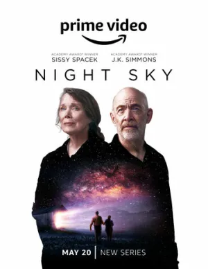 Ночное небо (сериал 2022)